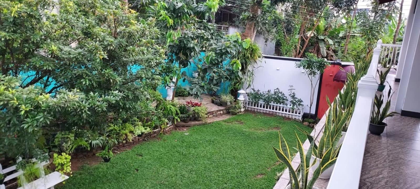 Duvi'S Shelter Bungalow Kolombo Zewnętrze zdjęcie